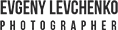 TheLevchenko.art